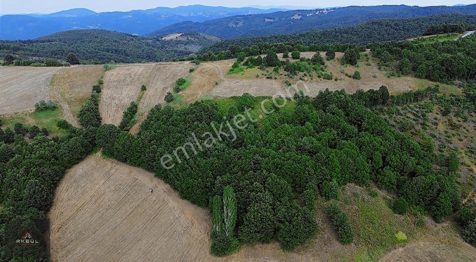 Biga Dikmen Köyünde 14 Dönüm Ana Yola Cephe Satılık Tarla - Görsel 18
