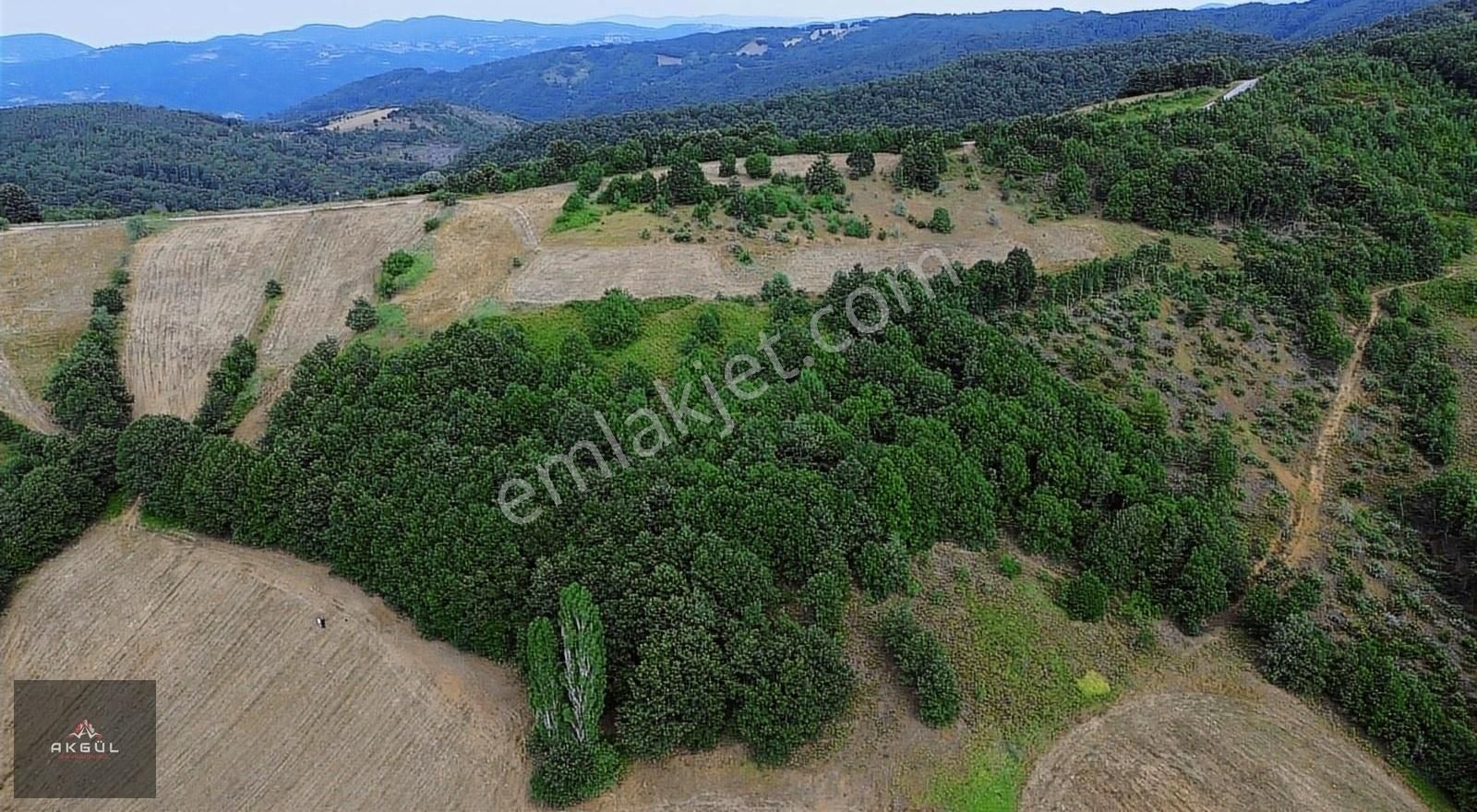 Biga Dikmen Köyünde 14 Dönüm Ana Yola Cephe Satılık Tarla - Görsel 11