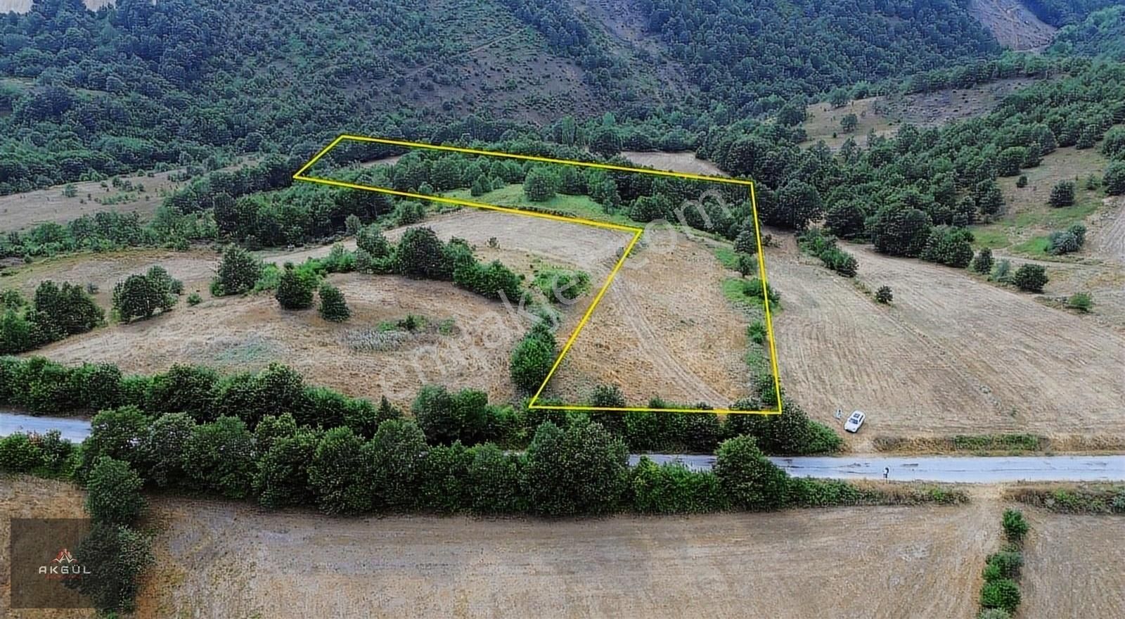 Biga Dikmen Köyünde 14 Dönüm Ana Yola Cephe Satılık Tarla - Görsel 14