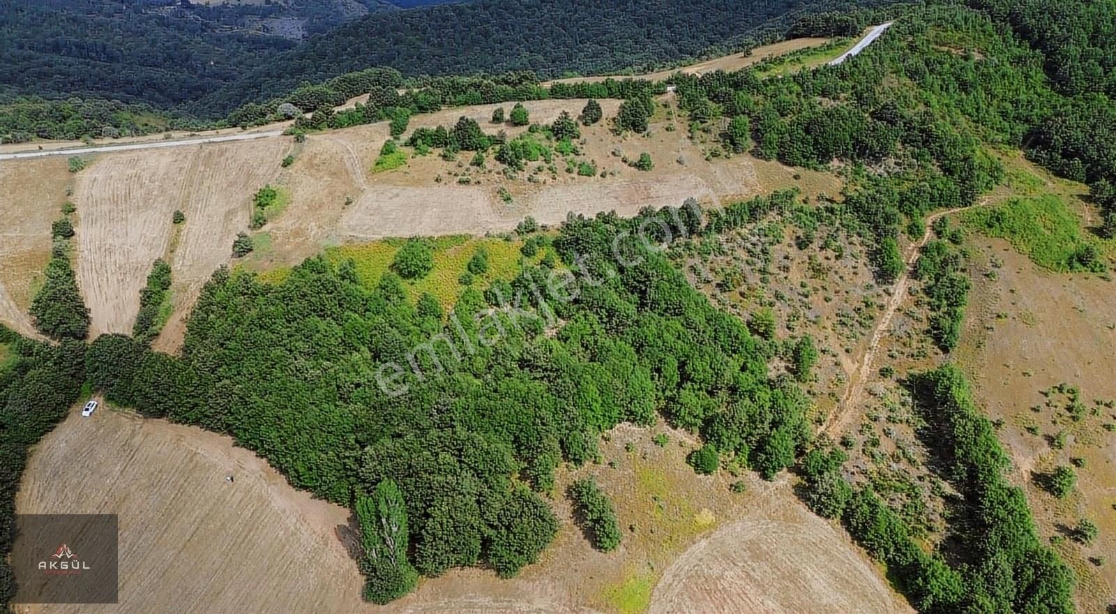 Biga Dikmen Köyünde 14 Dönüm Ana Yola Cephe Satılık Tarla - Görsel 15
