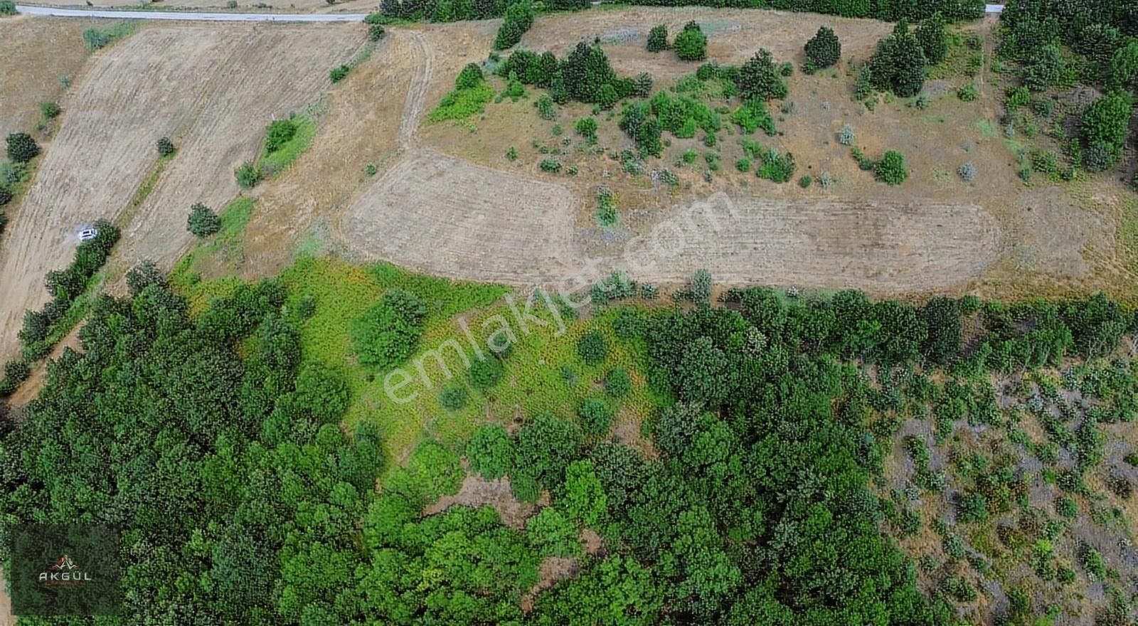 Biga Dikmen Köyünde 14 Dönüm Ana Yola Cephe Satılık Tarla - Görsel 5