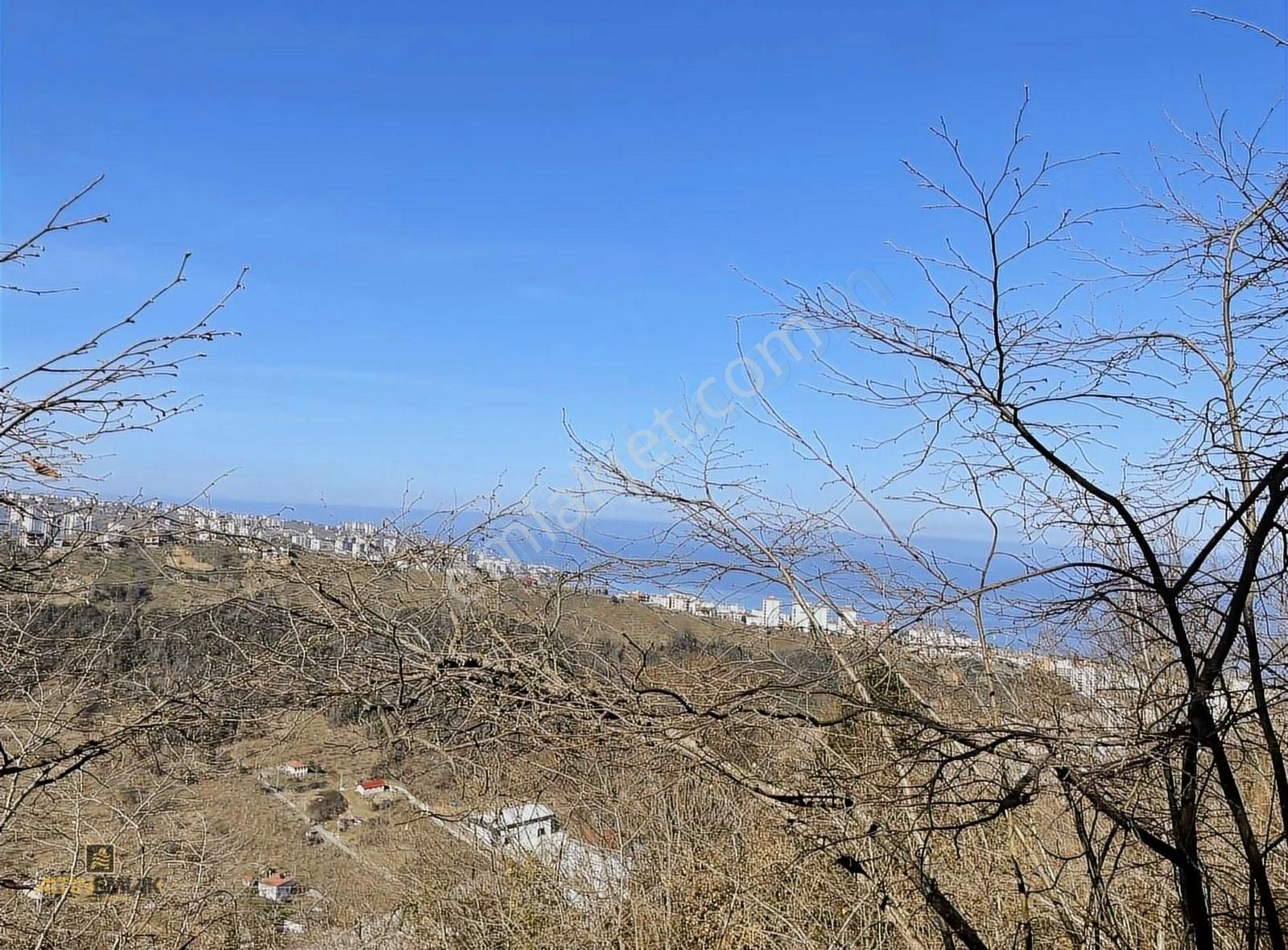 Altın Emlak Trabzon Yomrada Satılık Deniz Manzaralı Arazi