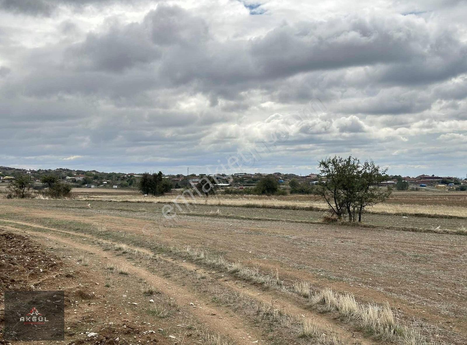 Kırklareli Merkez De Köy Dibin De Satılık Tarladan Hisse - Görsel 13