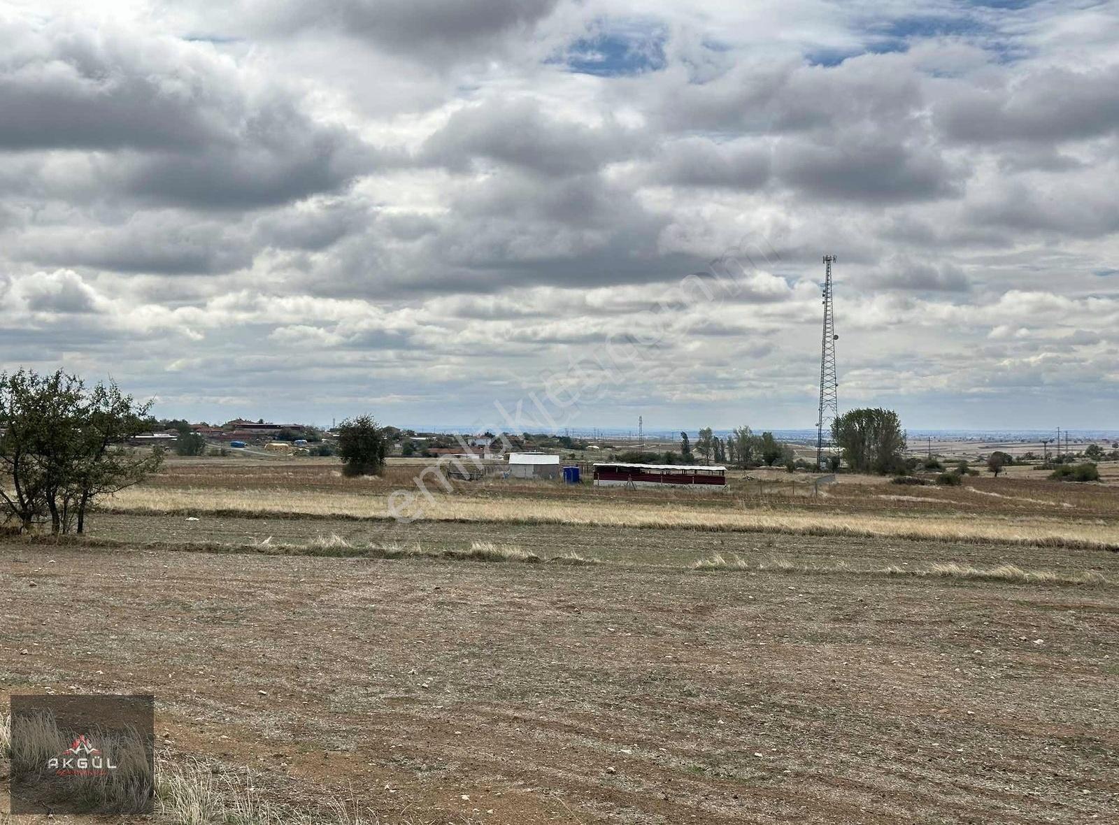 Kırklareli Merkez De Köy Dibin De Satılık Tarladan Hisse - Görsel 9