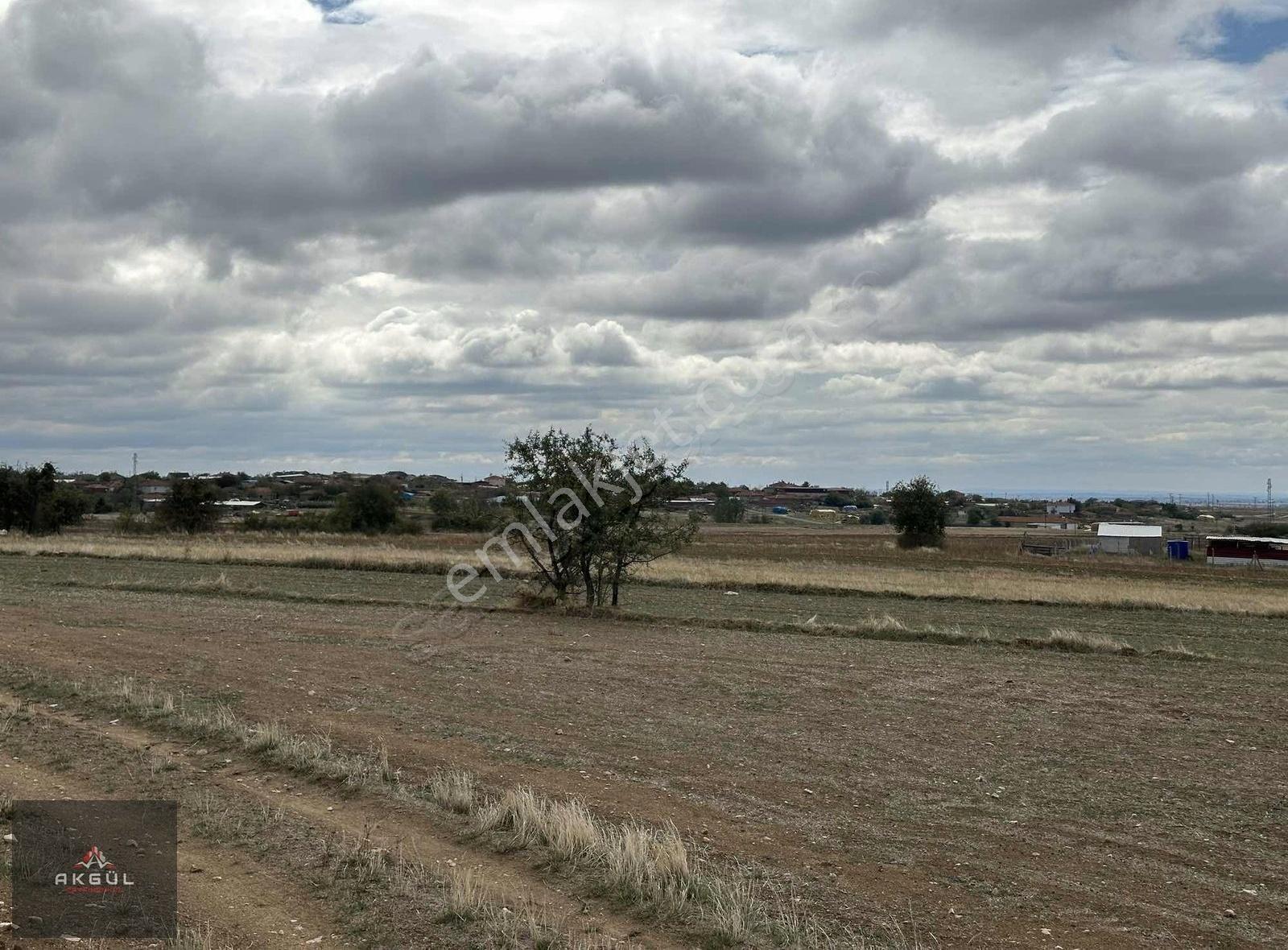 Kırklareli Merkez De Köy Dibin De Satılık Tarladan Hisse - Görsel 7