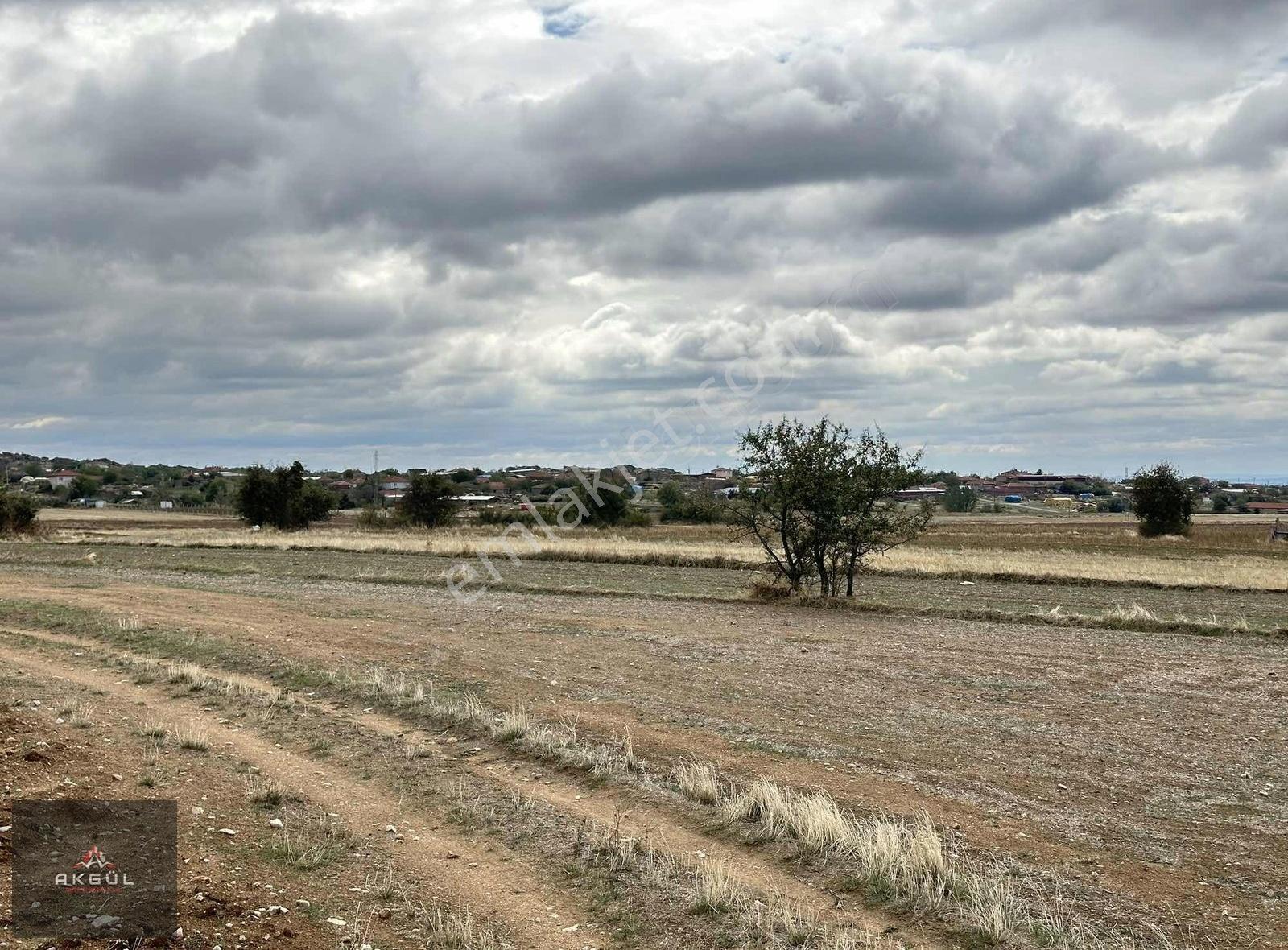 Kırklareli Merkez De Köy Dibin De Satılık Tarladan Hisse - Görsel 2