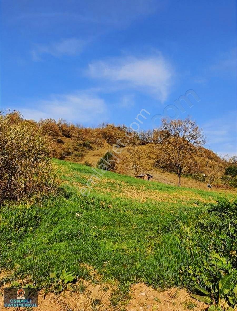 Hobi Bahçesi Yapımına Uygun Manzaralı Hesaplı Satılık Arazi - Görsel 11