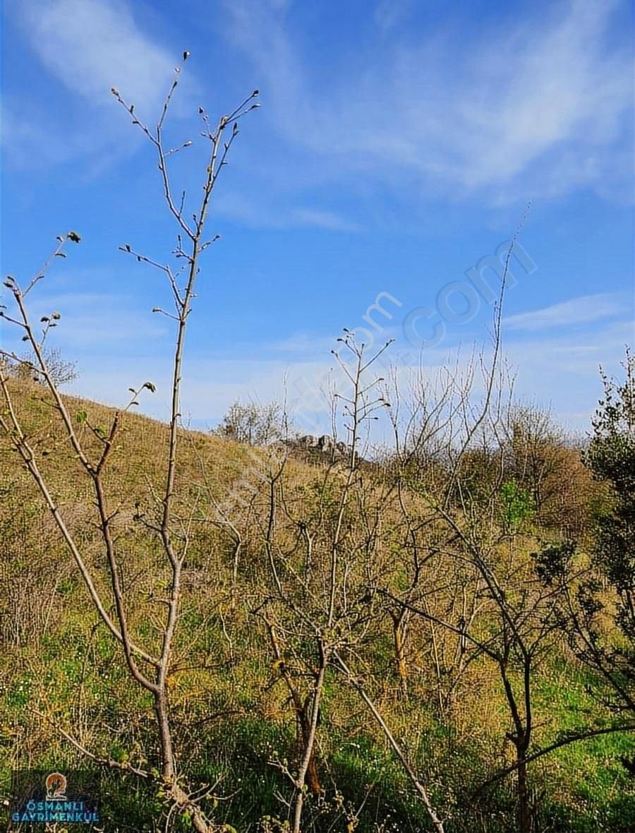 Hobi Bahçesi Yapımına Uygun Manzaralı Hesaplı Satılık Arazi - Görsel 34