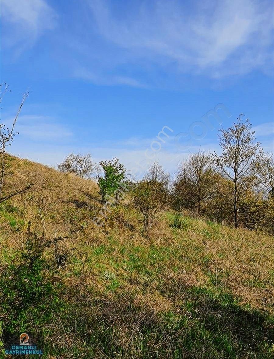 Hobi Bahçesi Yapımına Uygun Manzaralı Hesaplı Satılık Arazi - Görsel 32