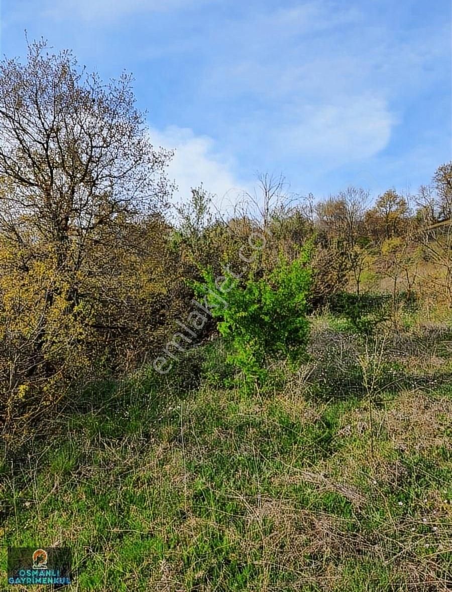 Hobi Bahçesi Yapımına Uygun Manzaralı Hesaplı Satılık Arazi - Görsel 18