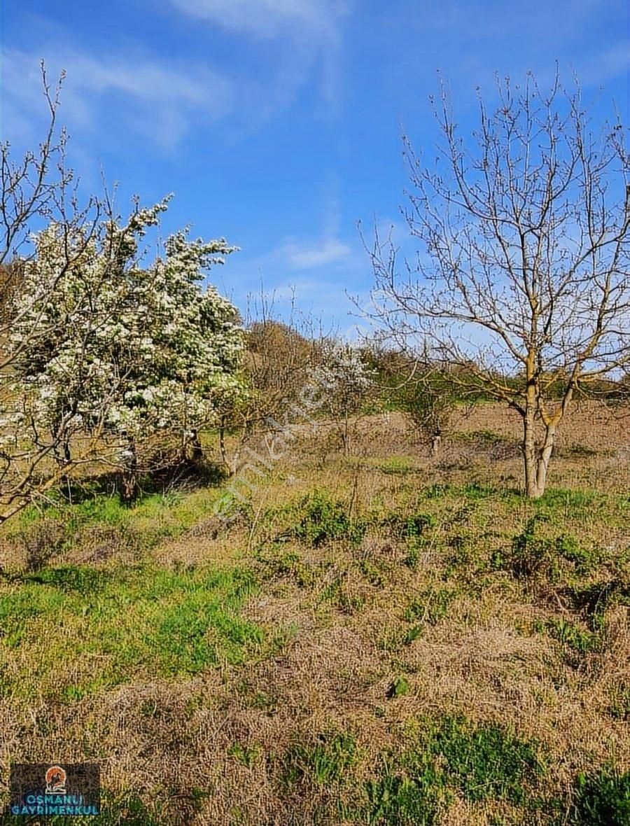 Hobi Bahçesi Yapımına Uygun Manzaralı Hesaplı Satılık Arazi - Görsel 35