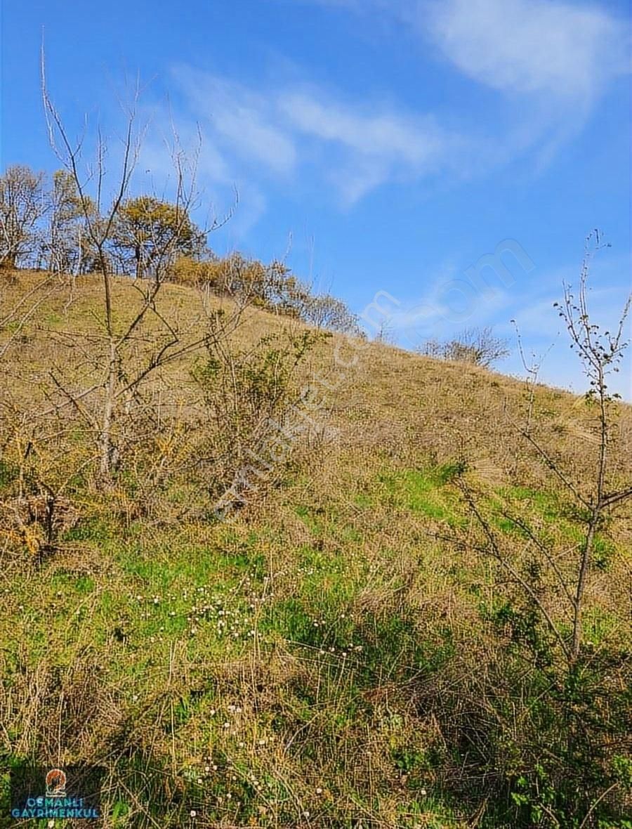 Hobi Bahçesi Yapımına Uygun Manzaralı Hesaplı Satılık Arazi - Görsel 20