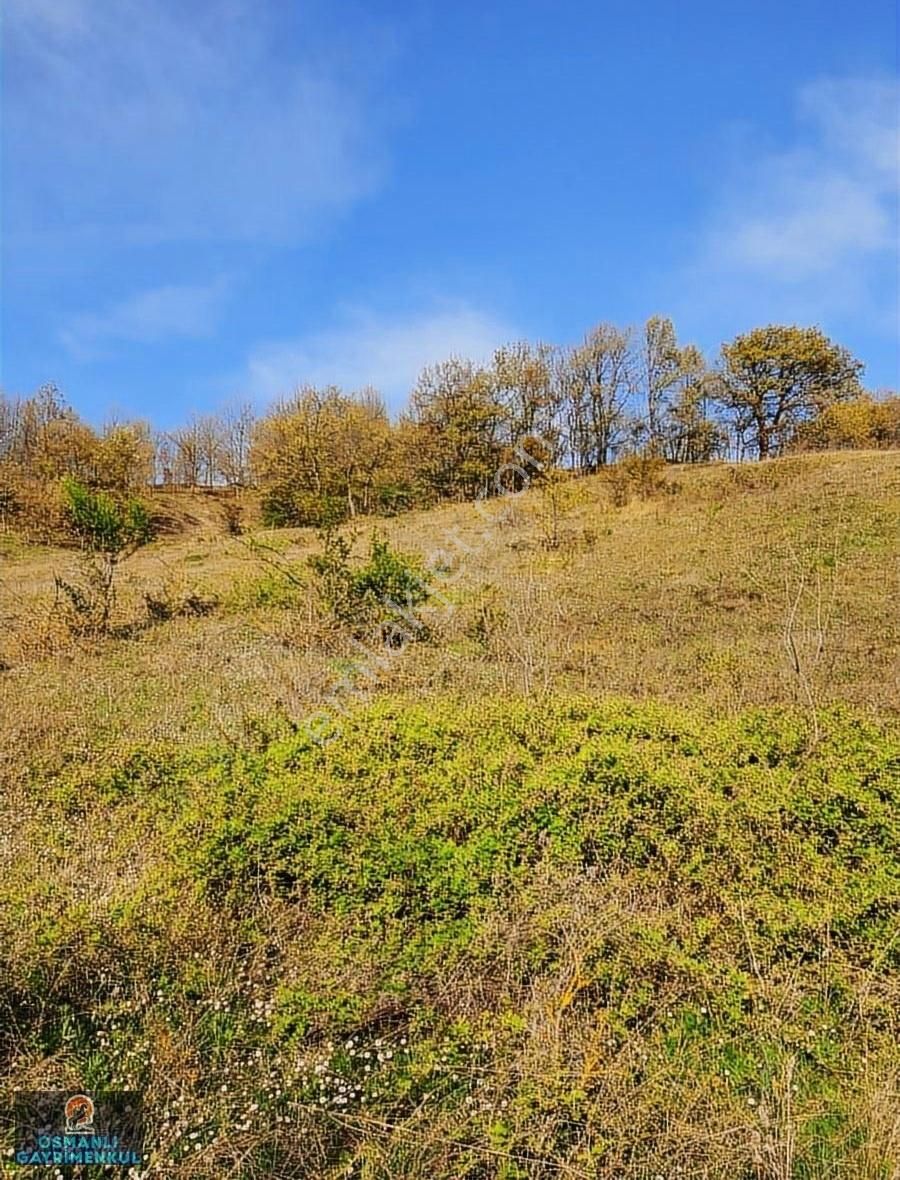 Hobi Bahçesi Yapımına Uygun Manzaralı Hesaplı Satılık Arazi - Görsel 2