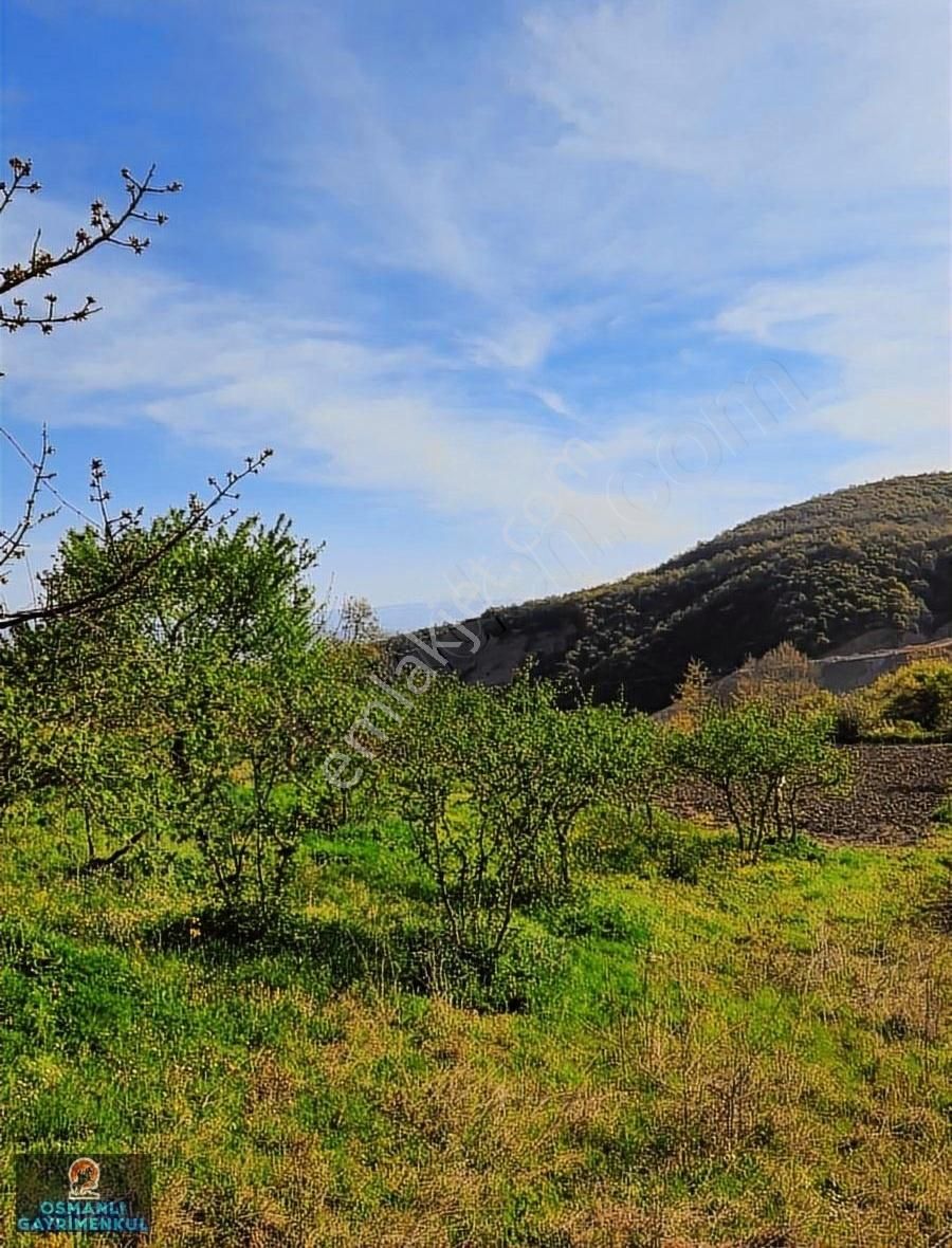 Hobi Bahçesi Yapımına Uygun Manzaralı Hesaplı Satılık Arazi - Görsel 7