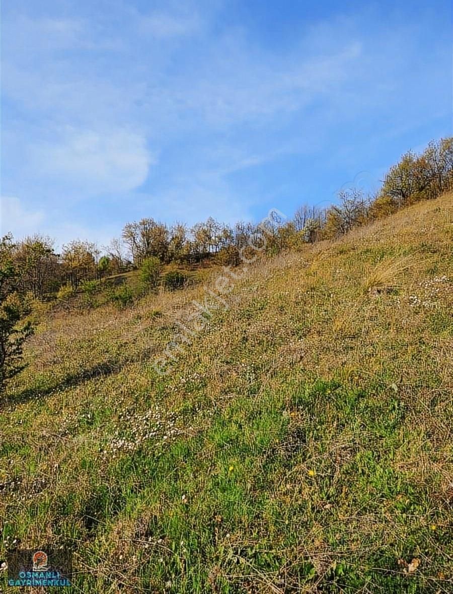 Hobi Bahçesi Yapımına Uygun Manzaralı Hesaplı Satılık Arazi - Görsel 5