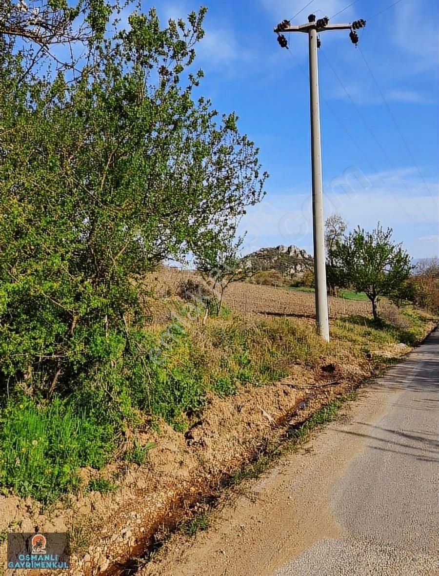 Hobi Bahçesi Yapımına Uygun Manzaralı Hesaplı Satılık Arazi - Görsel 21