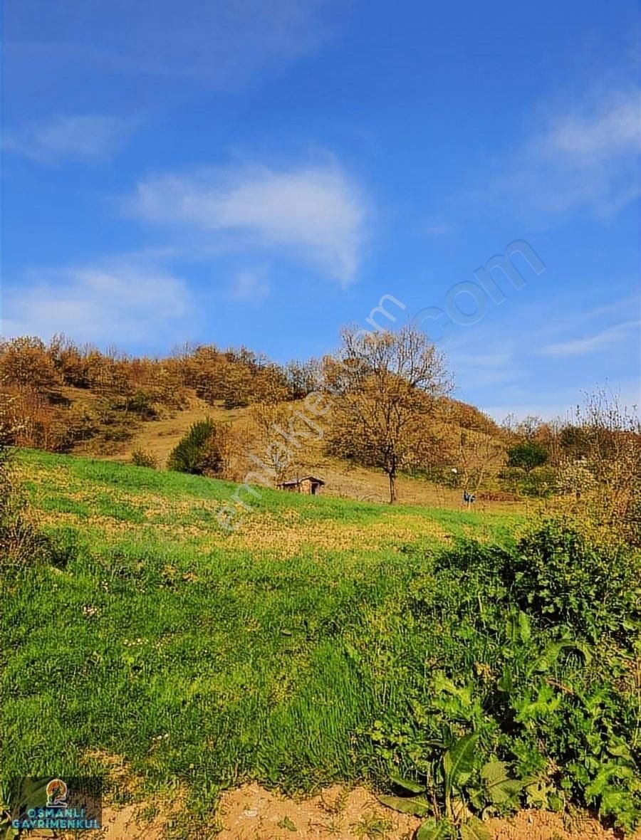 Hesaplı Satılık Arazi - Görsel 22