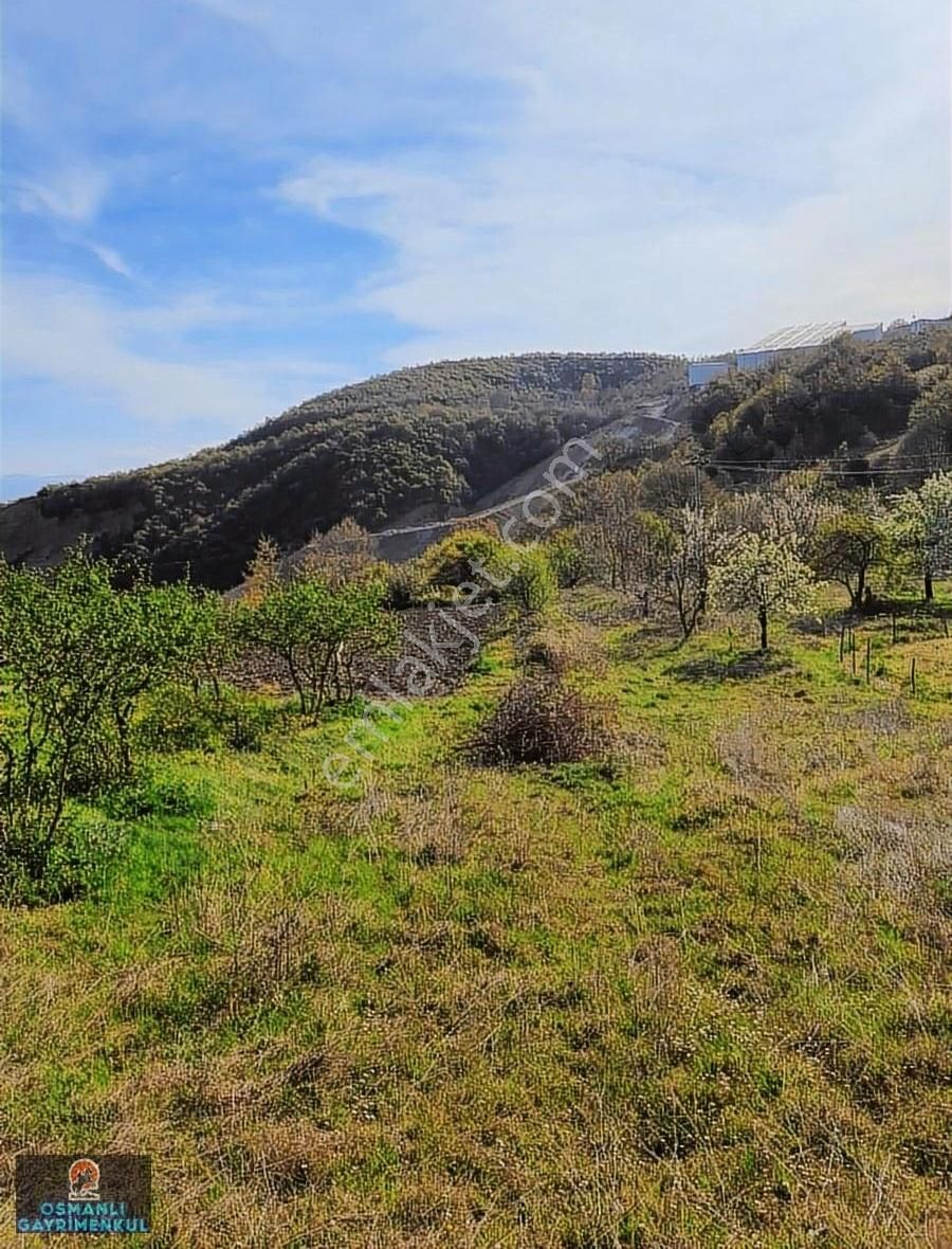 Hesaplı Satılık Arazi - Görsel 21