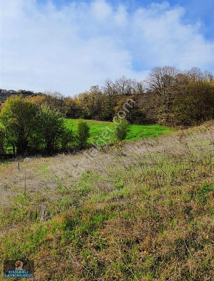 Hesaplı Satılık Arazi - Görsel 5