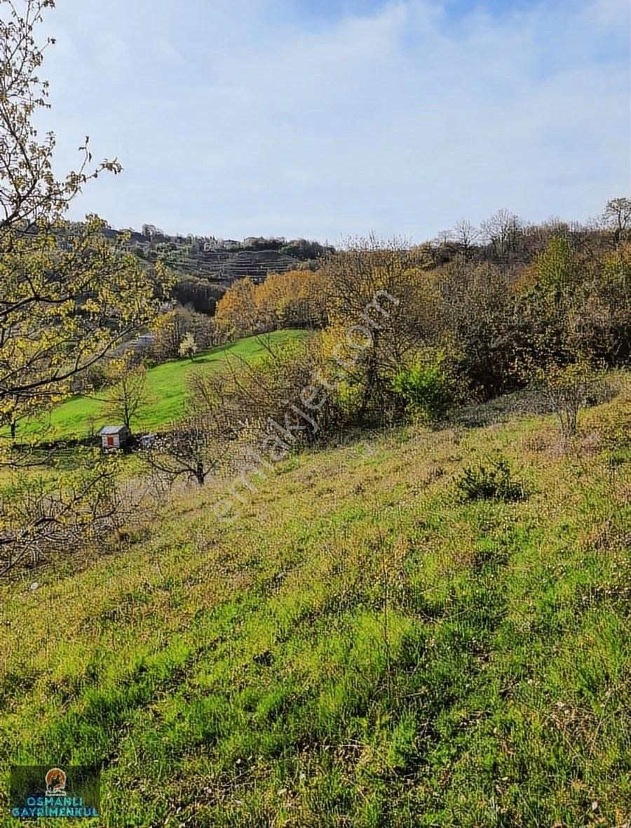 Hesaplı Satılık Arazi - Görsel 23