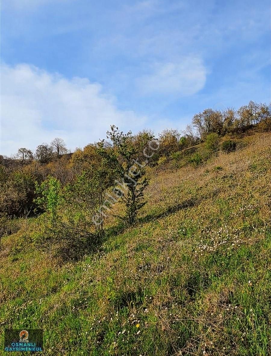 Hesaplı Satılık Arazi - Görsel 28