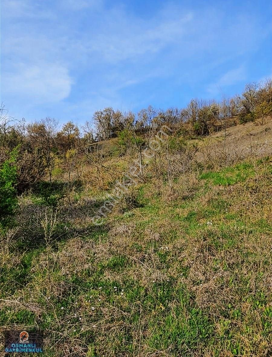 Hesaplı Satılık Arazi - Görsel 27