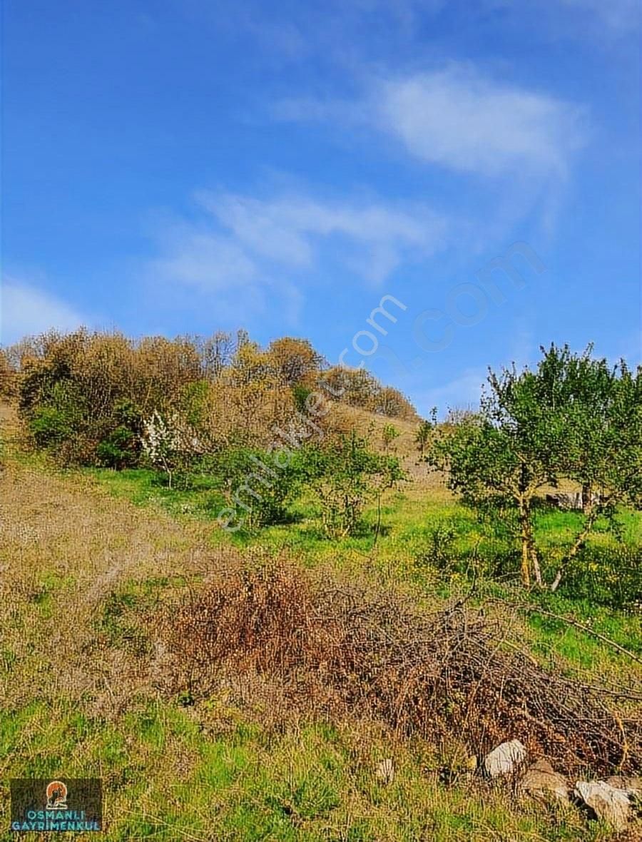 Hesaplı Satılık Arazi - Görsel 10