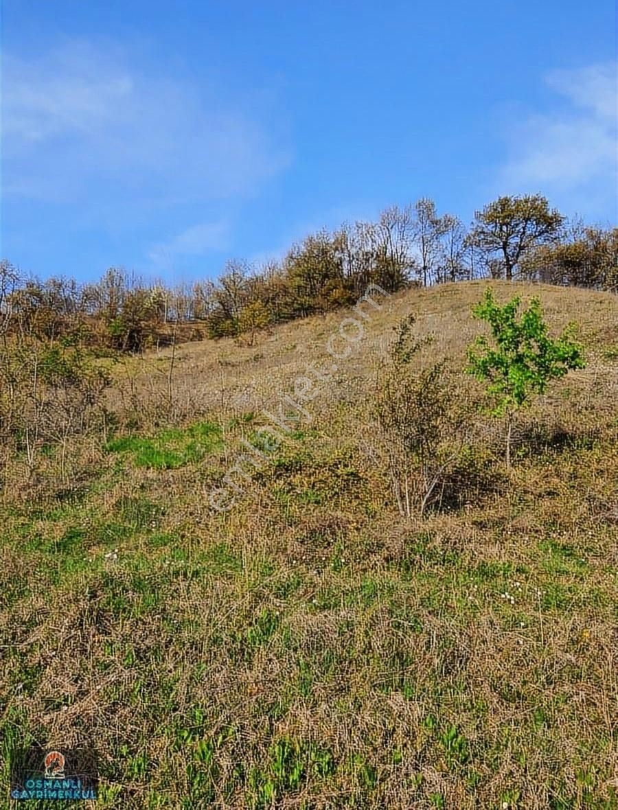 Hesaplı Satılık Arazi - Görsel 14