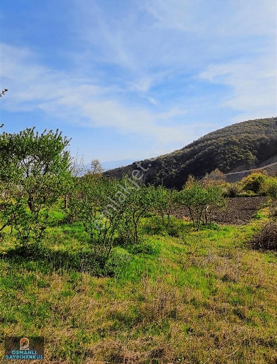 Hesaplı Satılık Arazi - Görsel 12