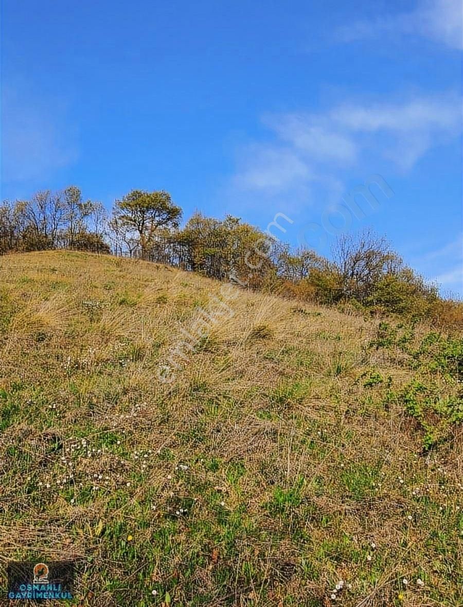 Hesaplı Satılık Arazi - Görsel 20