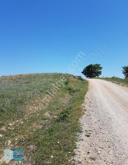 İpard Destekli Bungalov Evler Yapımına Uygun İznik Göl Manzaralı - Görsel 13