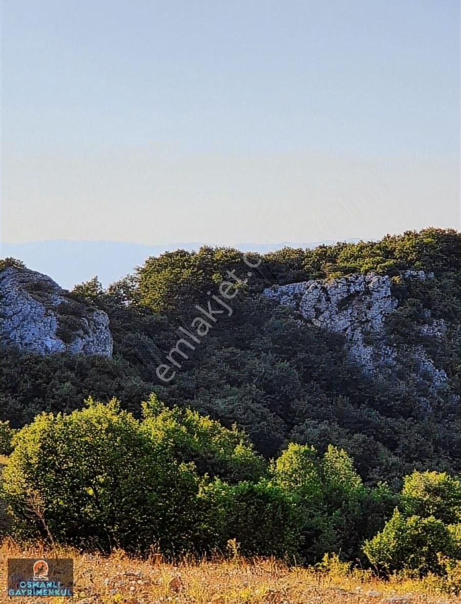 İpard Destekli Bungalov Evler Yapımına Uygun İznik Göl Manzaralı - Görsel 28