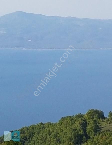 İpard Destekli Bungalov Evler Yapımına Uygun İznik Göl Manzaralı - Görsel 4