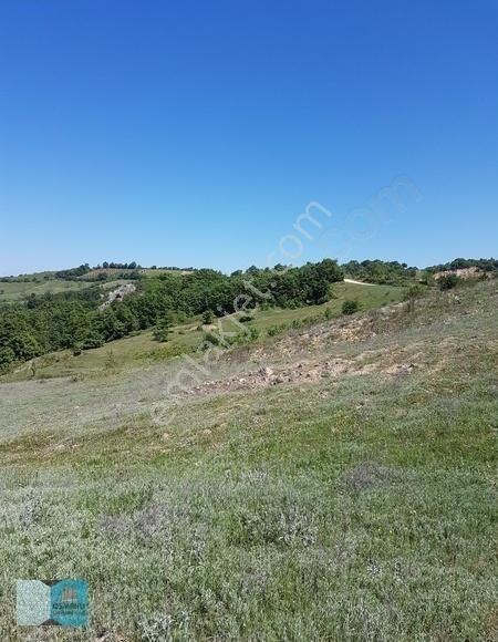 İpard Destekli Bungalov Evler Yapımına Uygun İznik Göl Manzaralı - Görsel 5