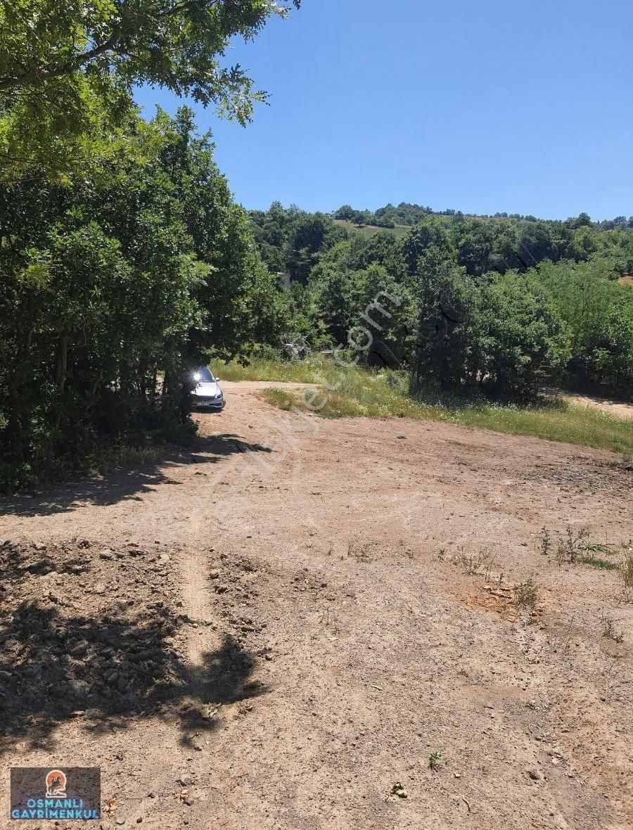 İznik Göl Manzaralı Göllüce Yoluna Cepheli Hesaplı Arazi - Görsel 7