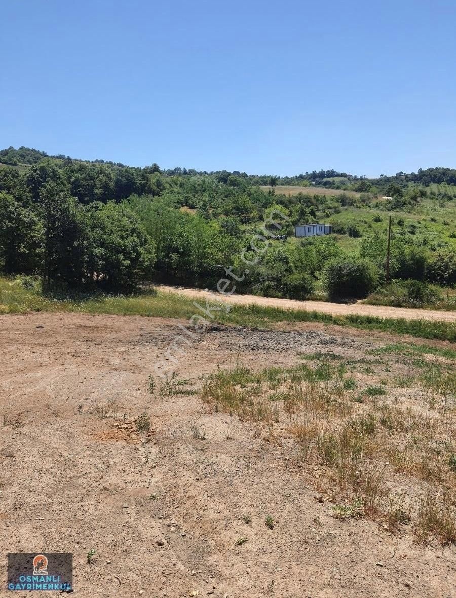 İznik Göl Manzaralı Göllüce Yoluna Cepheli Hesaplı Arazi - Görsel 6