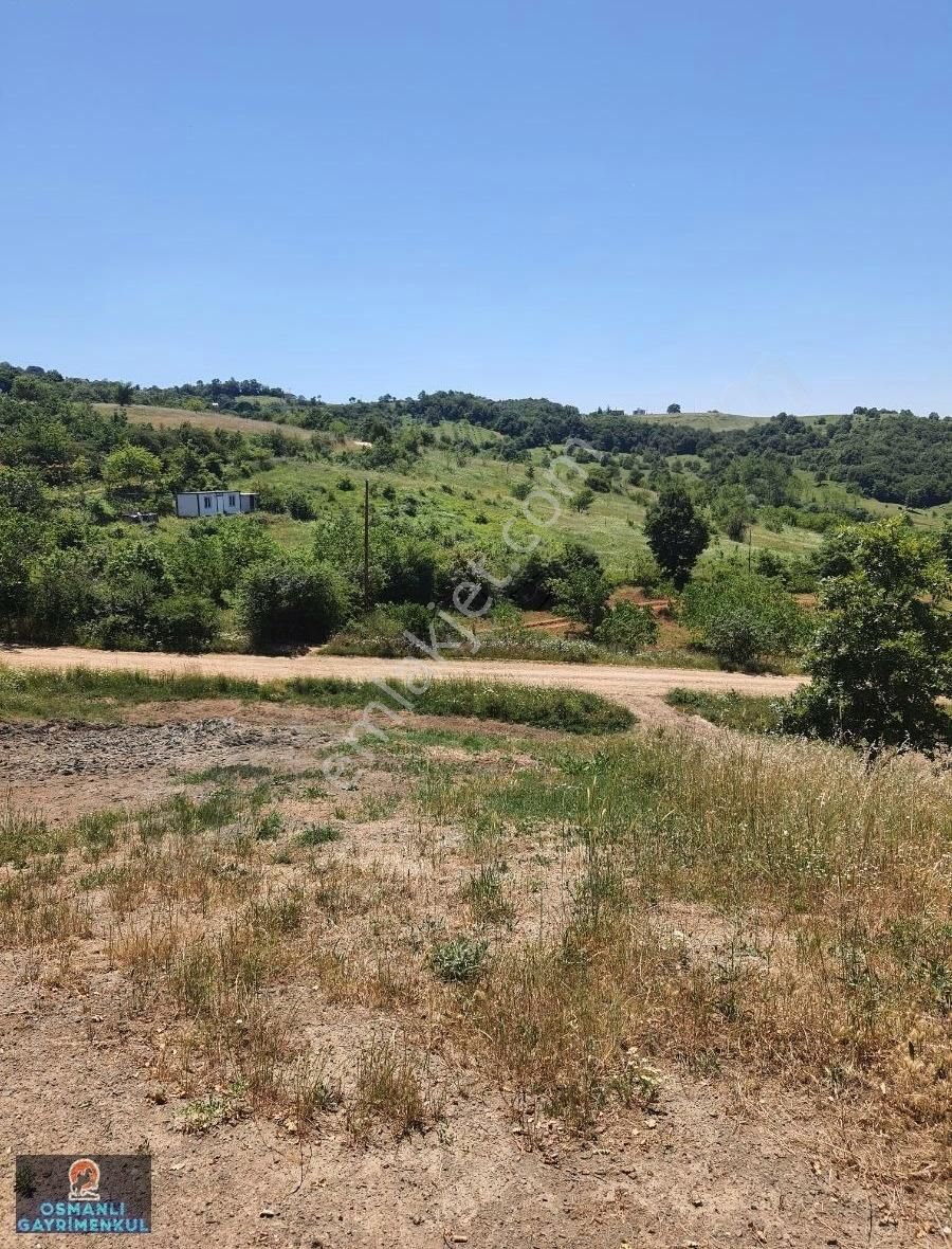 İznik Göl Manzaralı Göllüce Yoluna Cepheli Hesaplı Arazi - Görsel 9