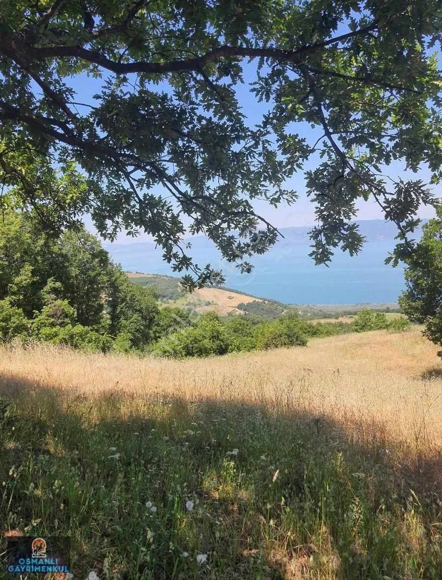 İznik Göl Manzaralı Göllüce Yoluna Cepheli Hesaplı Arazi - Görsel 12