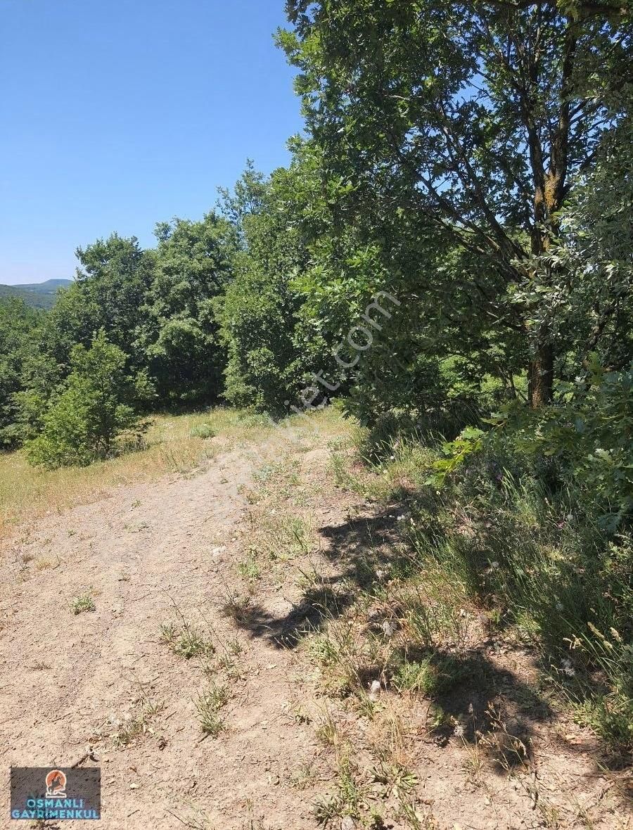 İznik Göl Manzaralı Göllüce Yoluna Cepheli Hesaplı Arazi - Görsel 10