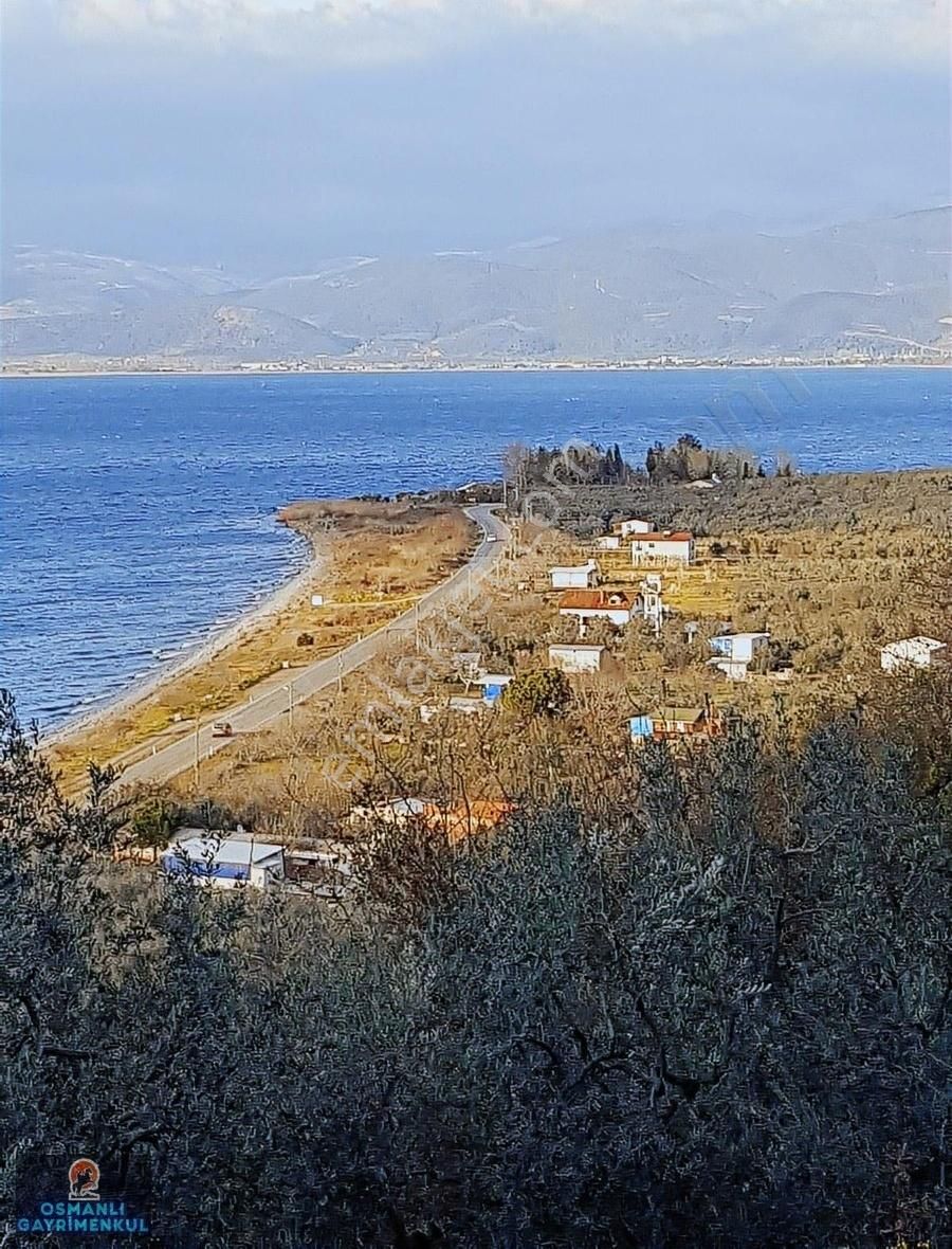 İznik Gölüne 200 Metre Uzaklıkta Manzaralı Satılık Arazi
