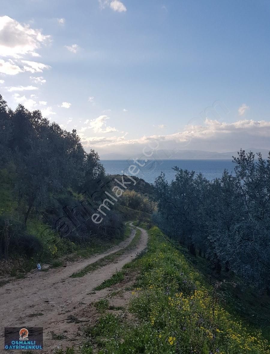 İznik Gölüne 200 Metre Uzaklıkta Manzaralı Satılık Arazi - Görsel 10