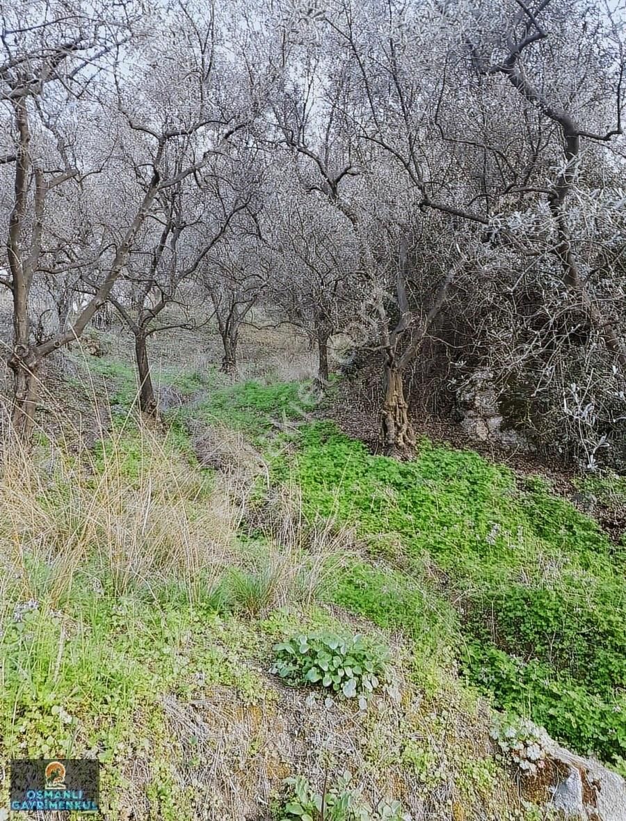 İznik Gölüne 200 Metre Uzaklıkta Manzaralı Satılık Arazi - Görsel 19