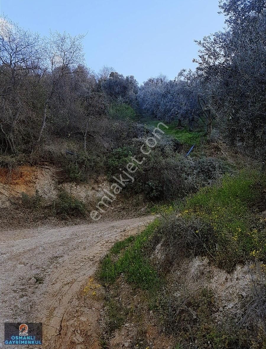 İznik Gölüne 200 Metre Uzaklıkta Manzaralı Satılık Arazi - Görsel 22