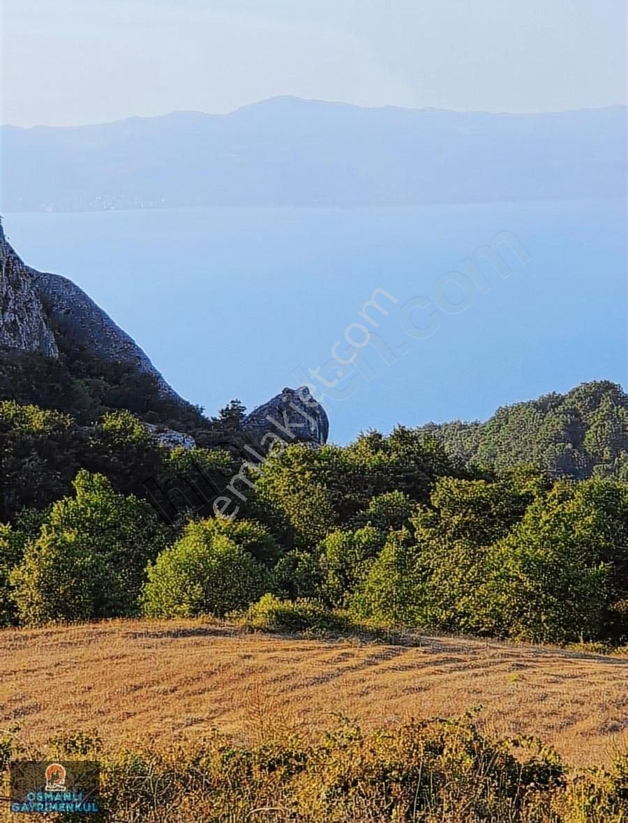 İznik Göl Manzaralı Doğalgaz Elektrık Su Yol Alt Yapısı Hazır - Görsel 10