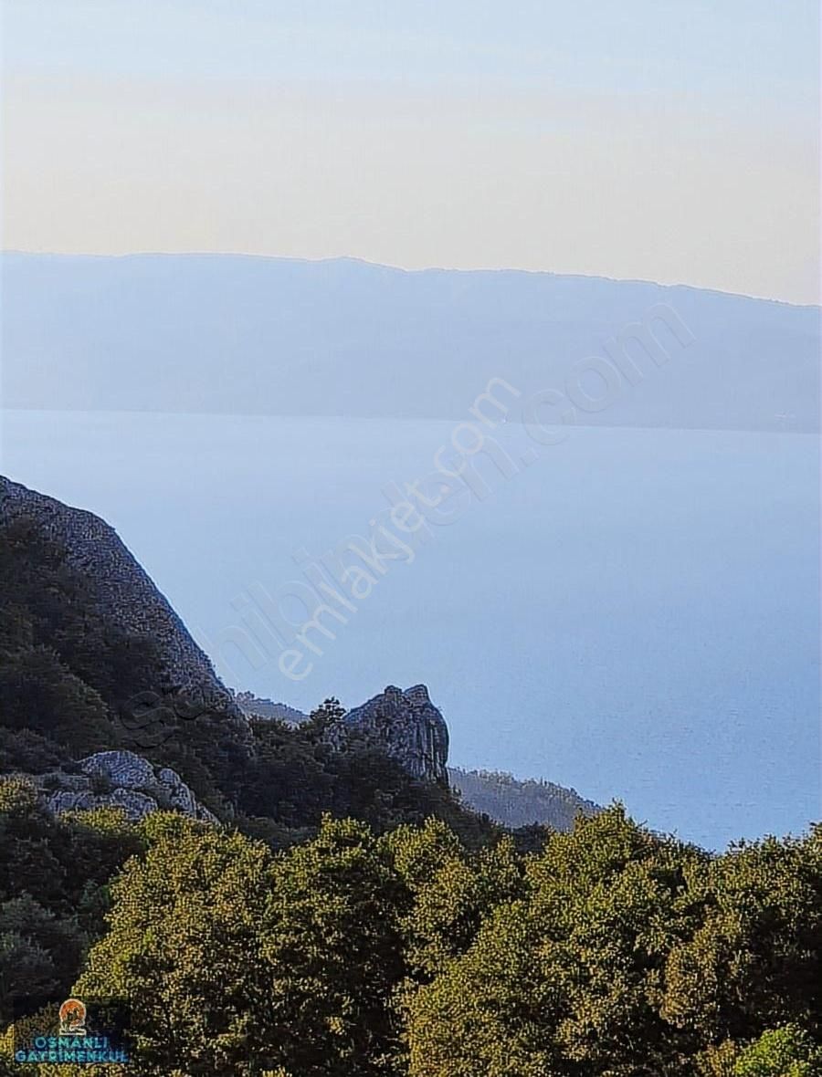 İznik Göl Manzaralı Doğalgaz Elektrık Su Yol Alt Yapısı Hazır - Görsel 15