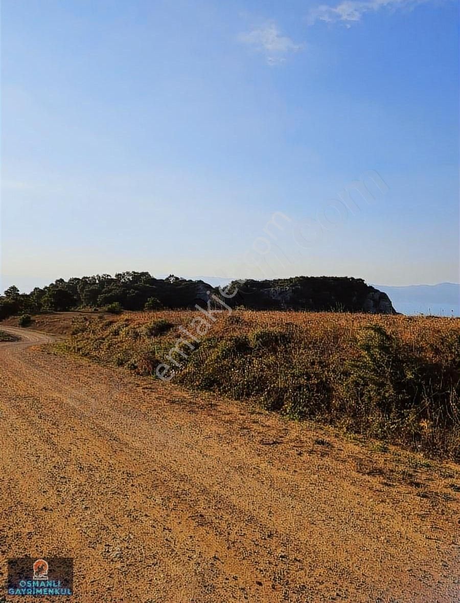 İznik Göl Manzaralı Doğalgaz Elektrık Su Yol Alt Yapısı Hazır - Görsel 25