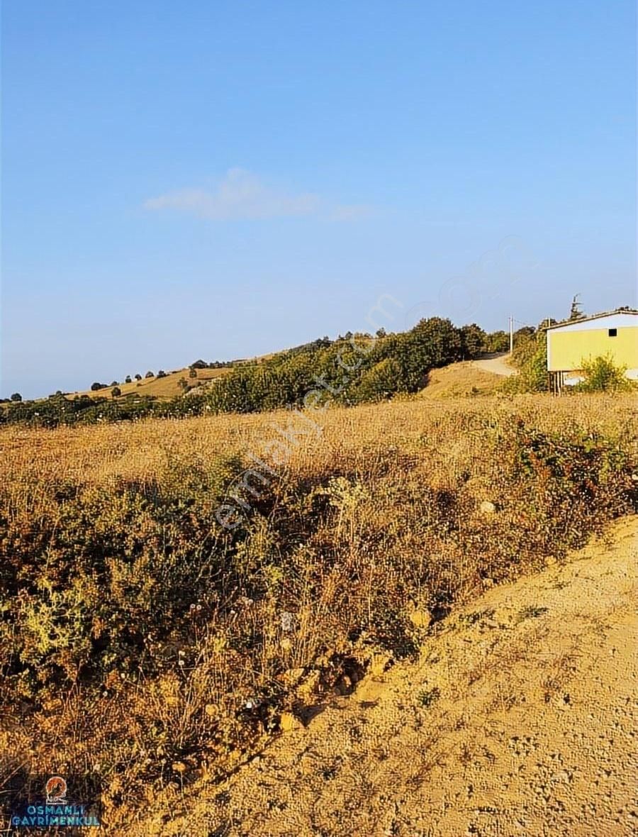 İznik Göl Manzaralı Doğalgaz Elektrık Su Yol Alt Yapısı Hazır - Görsel 19