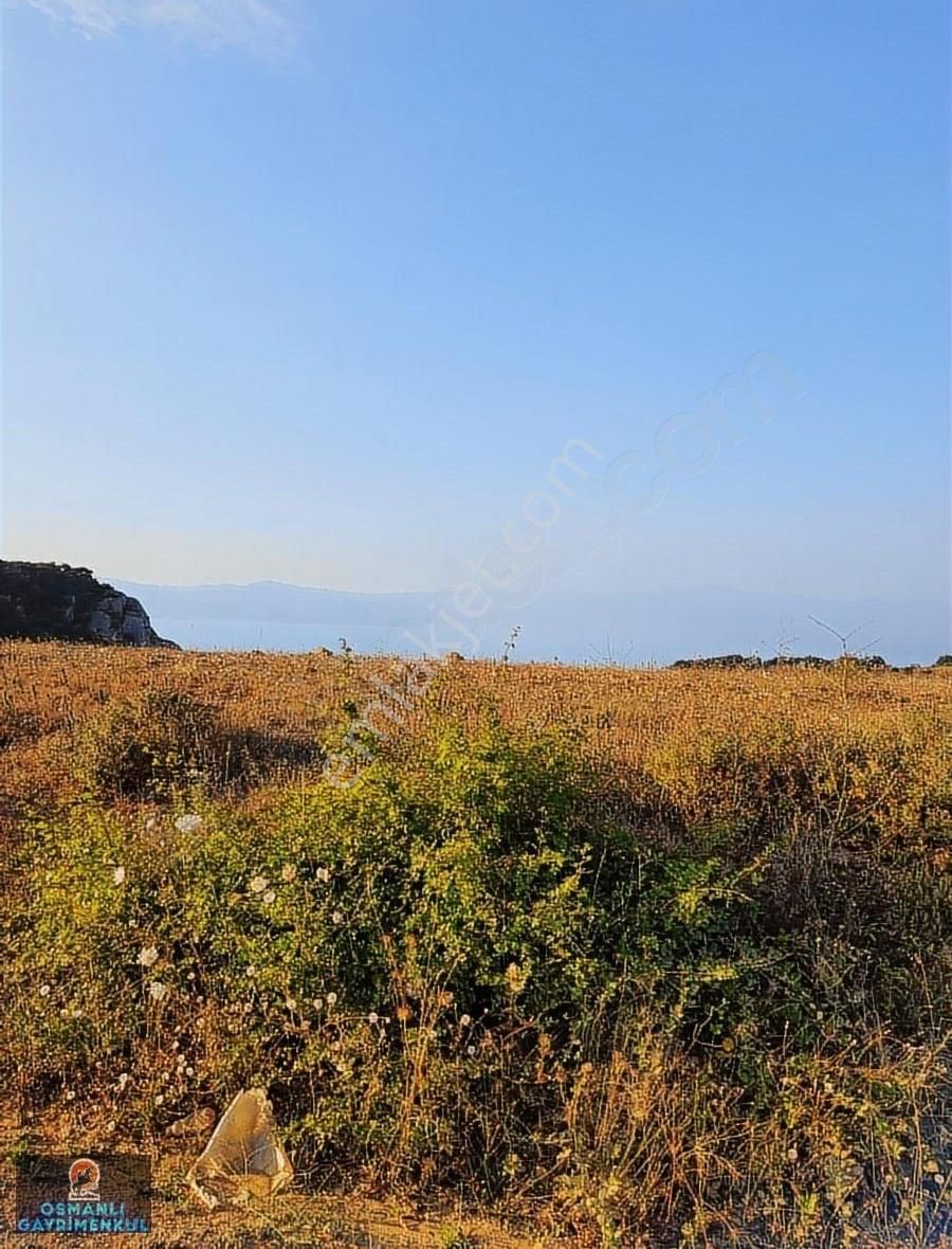 İznik Göl Manzaralı Doğalgaz Elektrık Su Yol Alt Yapısı Hazır - Görsel 31