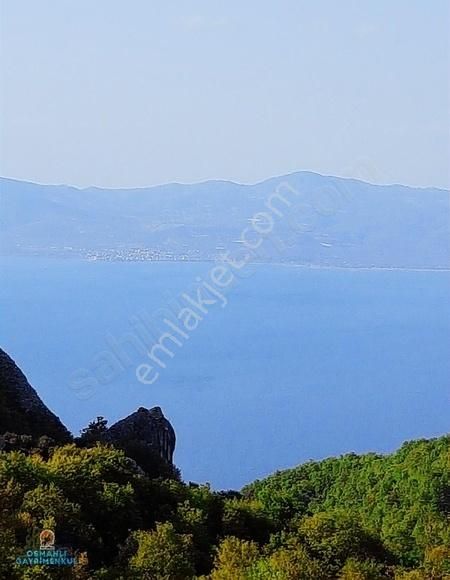 İpard Destekli Bungalov Evler Yapımına Uygun İznik Gölmanzaralı - Görsel 20