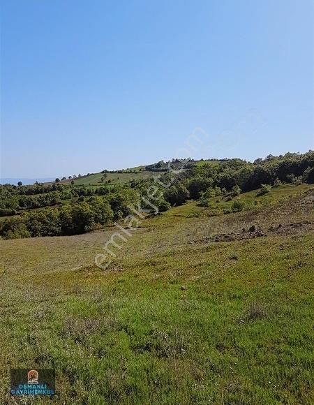 İpard Destekli Bungalov Evler Yapımına Uygun İznik Gölmanzaralı - Görsel 16